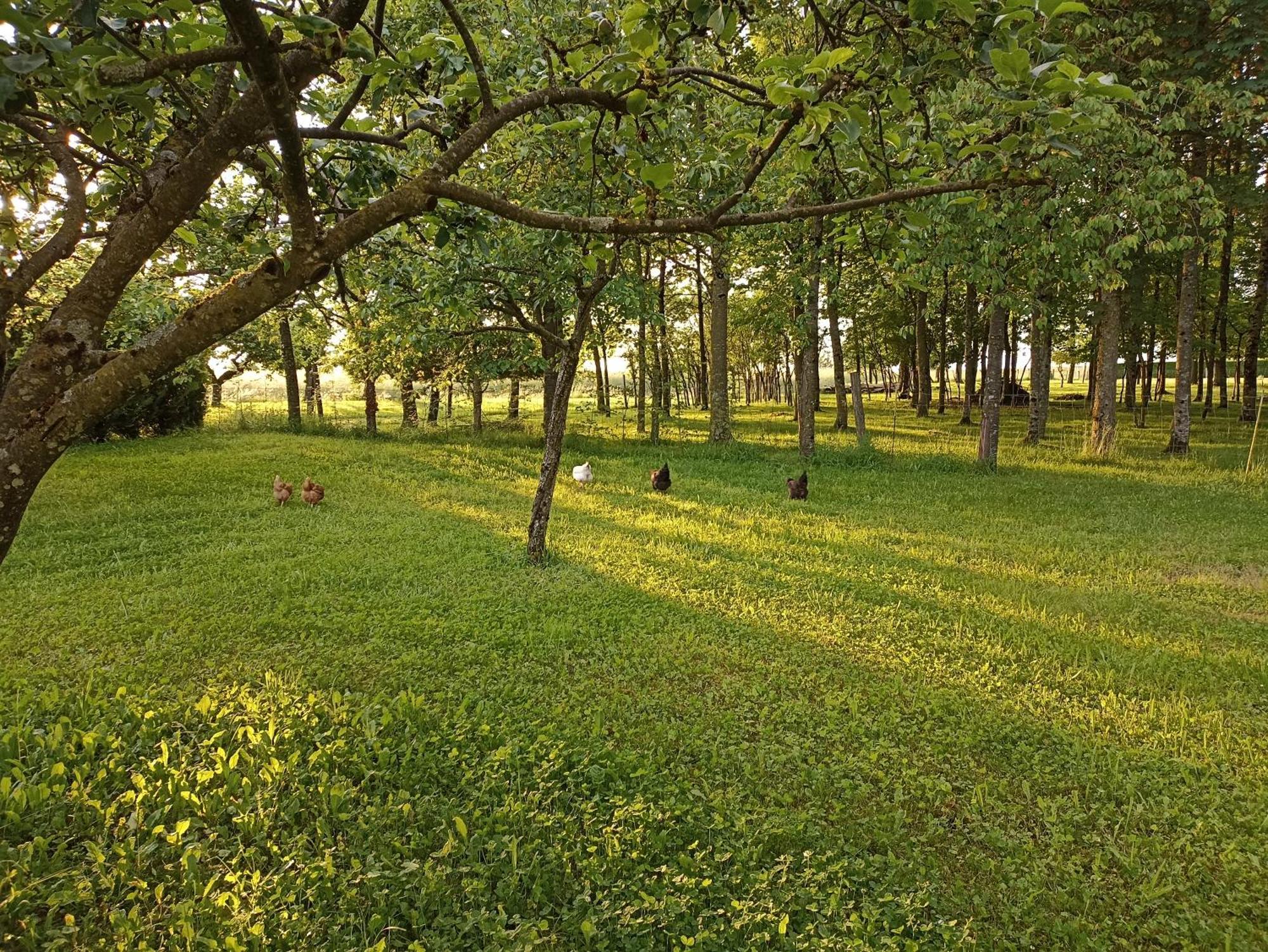 Gite Nature Et Detente Aubreville Екстер'єр фото