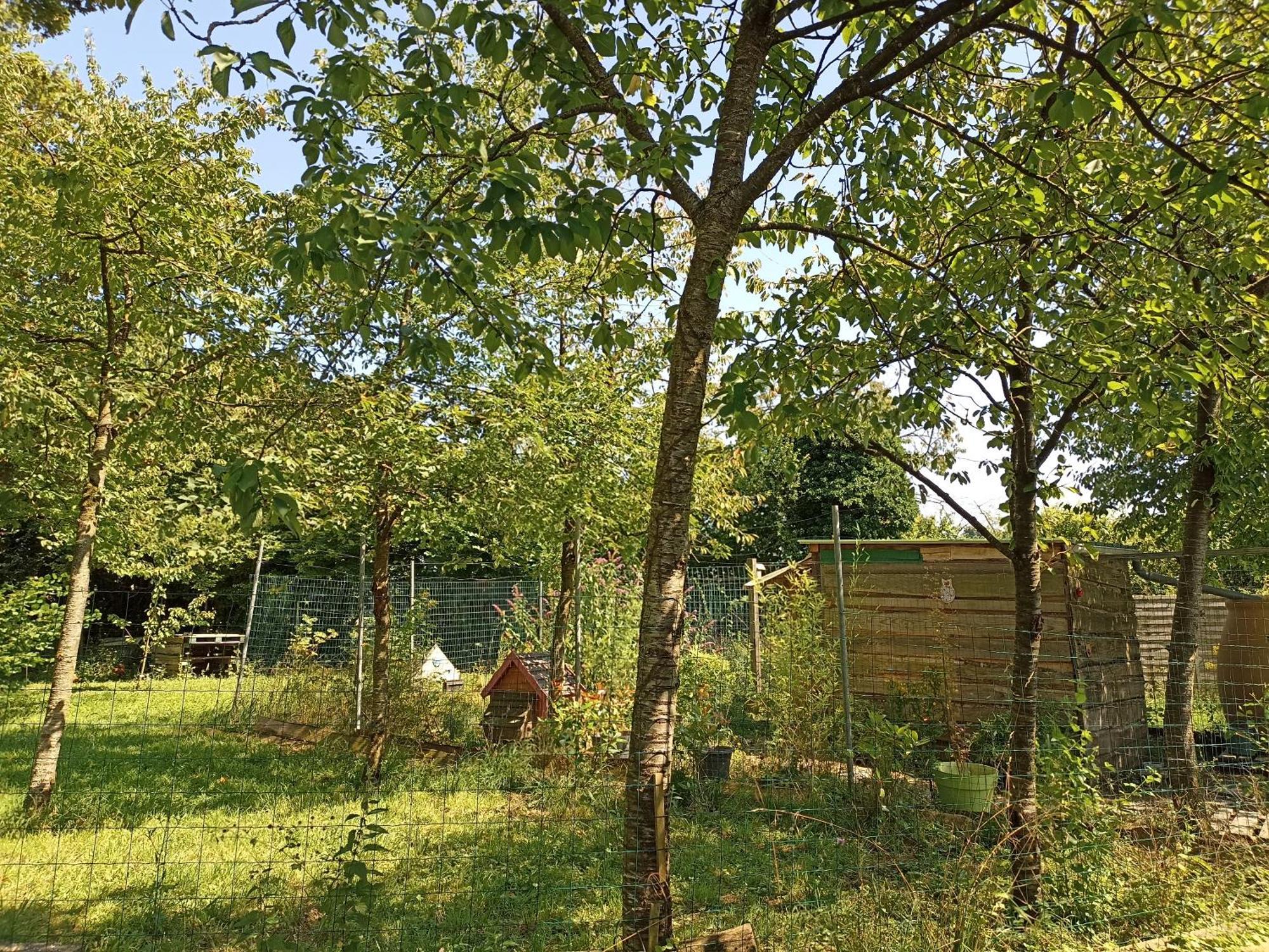 Gite Nature Et Detente Aubreville Екстер'єр фото
