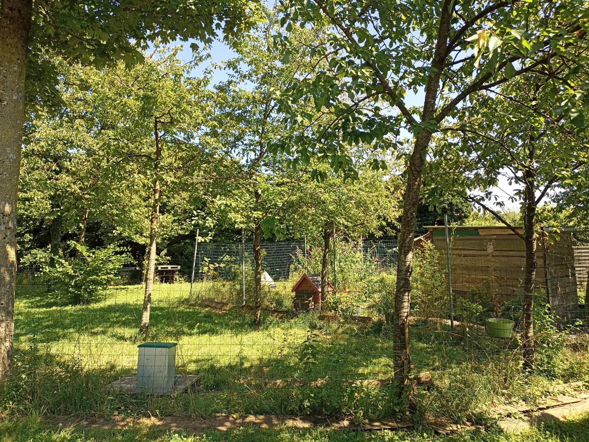 Gite Nature Et Detente Aubreville Екстер'єр фото