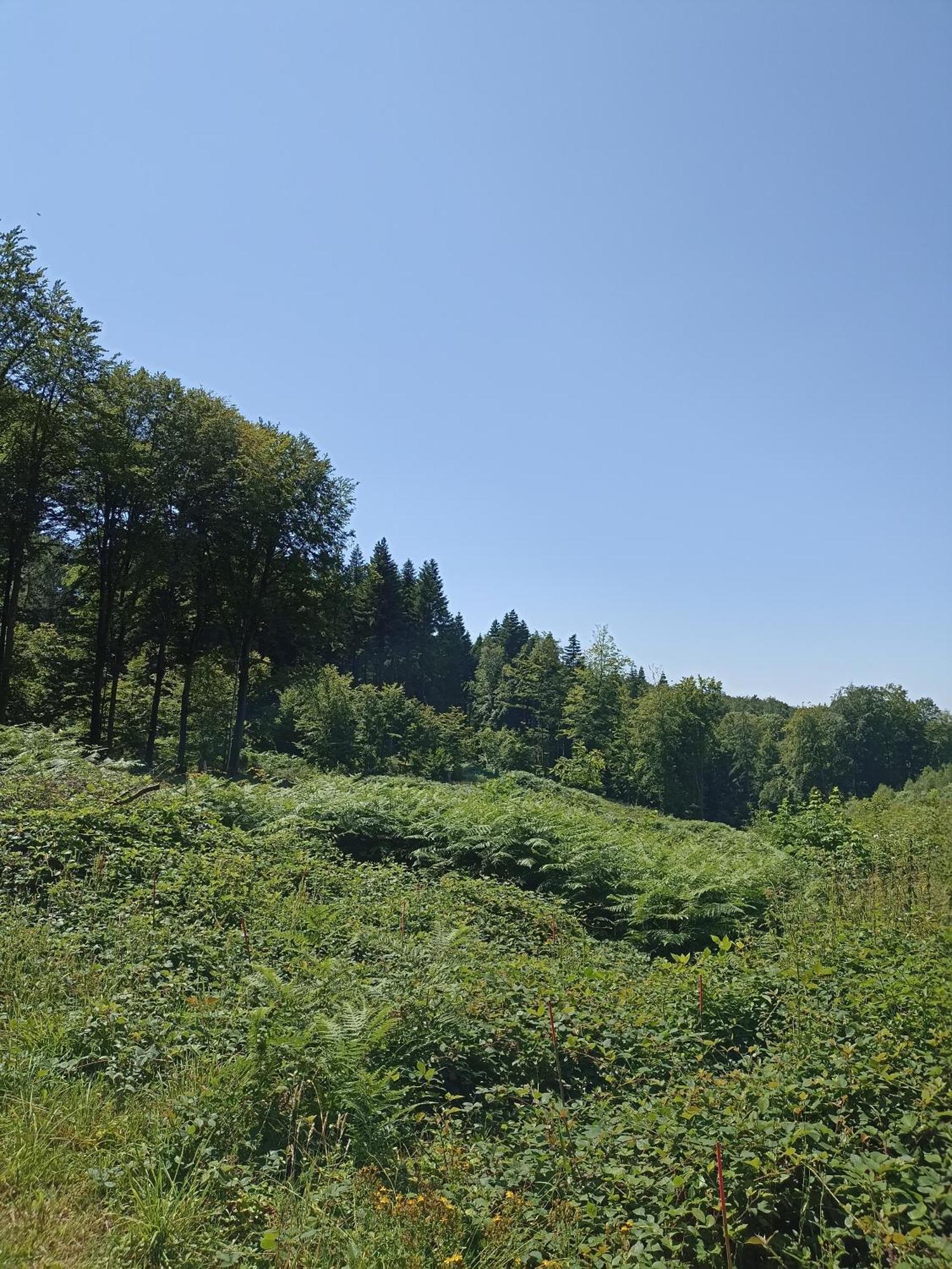 Gite Nature Et Detente Aubreville Екстер'єр фото
