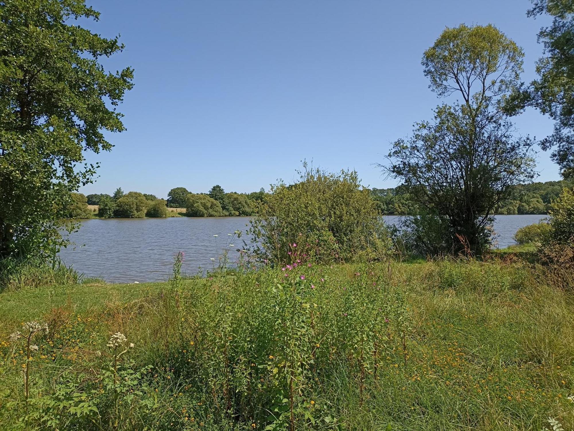 Gite Nature Et Detente Aubreville Екстер'єр фото