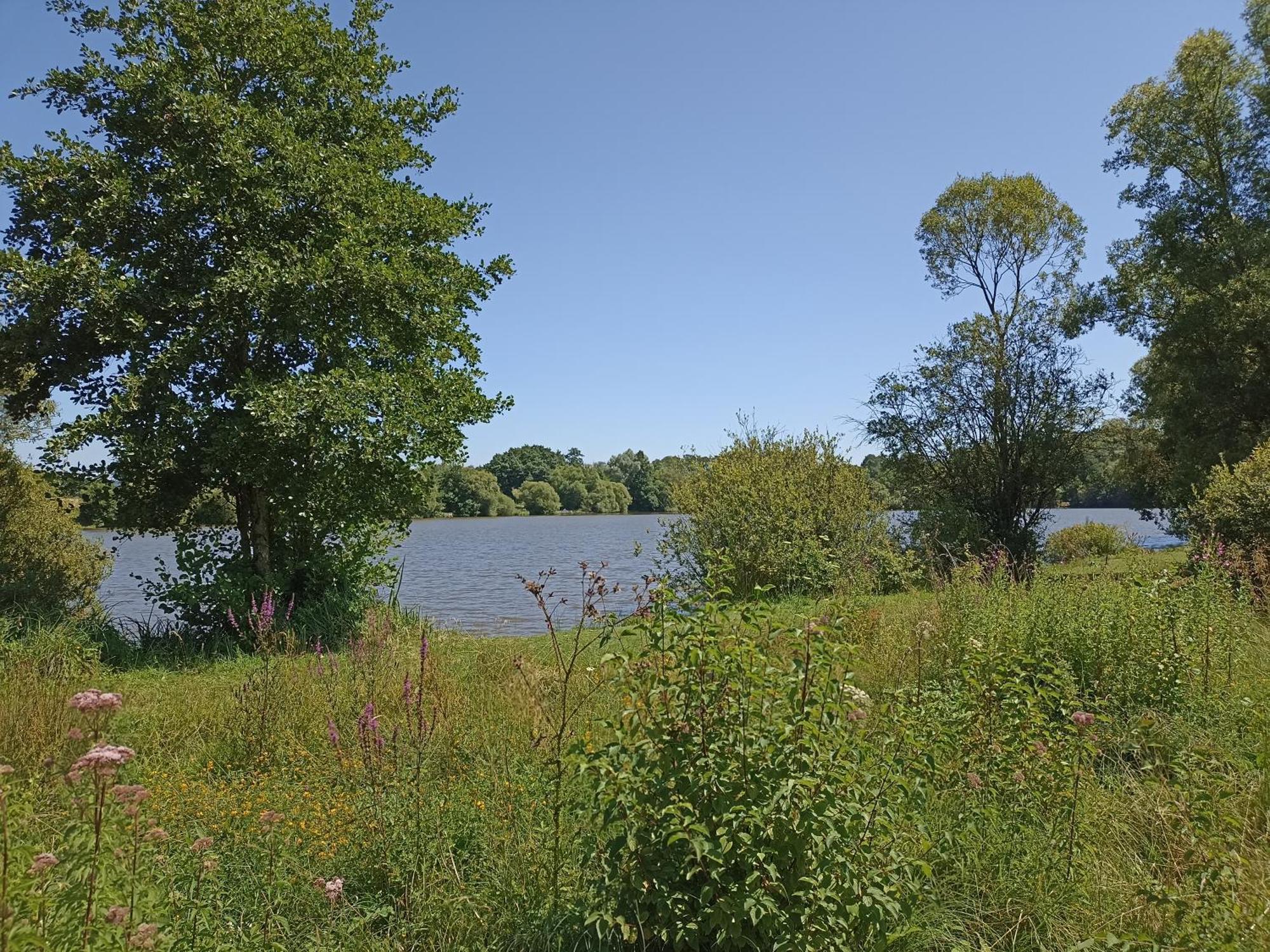 Gite Nature Et Detente Aubreville Екстер'єр фото